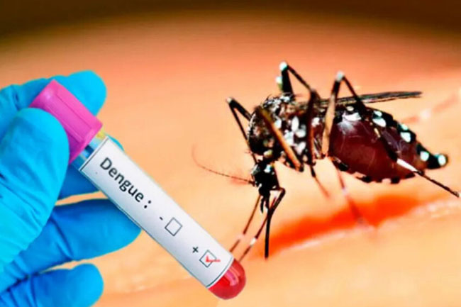 Armed forces, police instructed to fully support dengue control program