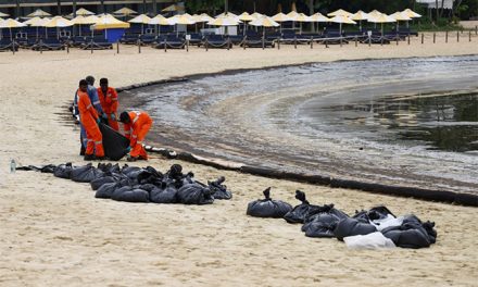 Singapore authorities said on Monday a dredger boat reported a sudden loss in engine and steering control that led it to hit a stationary cargo tanker, causing an oil spill that has blackened part of the city-island’s southern shores.
