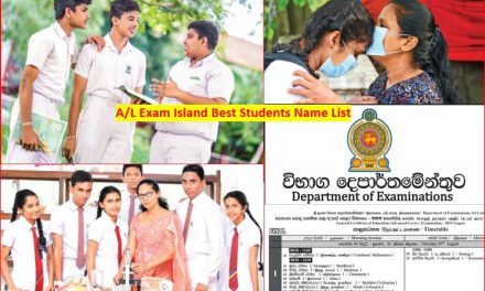 Island’s best results of 2023 A/L exam